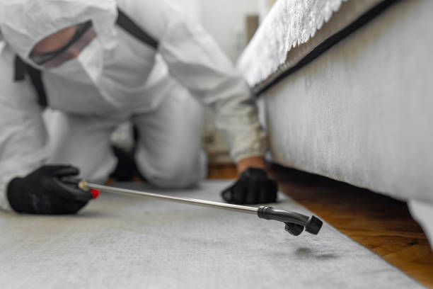 Professional Termite Control technician working in Conashaugh Lakes, PA